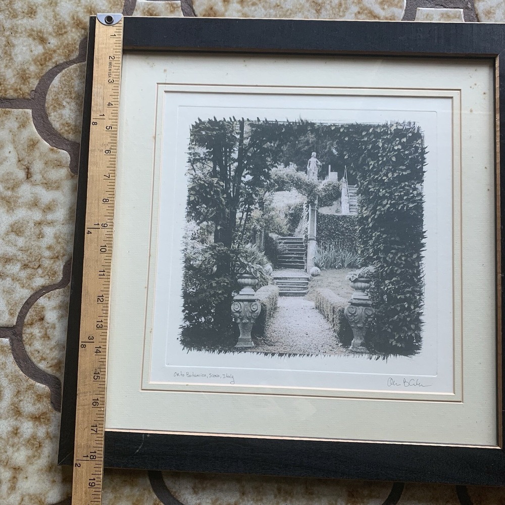 Framed Picture Orto Botanico Romantic Gardens in Siena Italy by Allan Blaustein - Picture 5 of 10